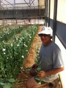 Eyal picking lilies